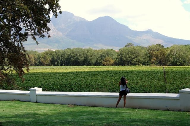 Full-Day South African Wine Tour